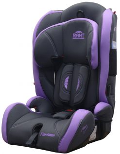 Purple Фиолетовый