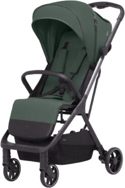 Rainforest Green